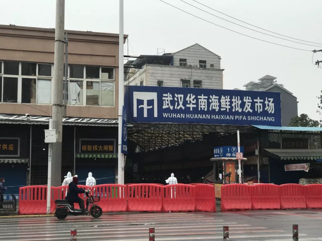 如果要给野生动物交易禁令加个期限,我希望是