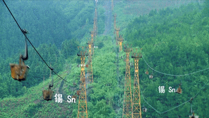 批了!哈尔滨79.86平方公里划入中国(黑龙江)自