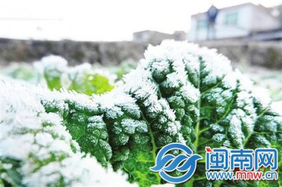 大雪节气谚语 大雪三候传统习俗 2019最新大雪节
