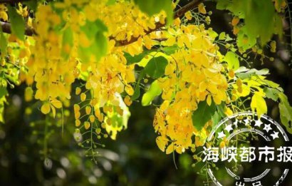 最美人间四月天的语句 迎接四月的唯美句子你好