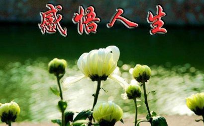 亲情！