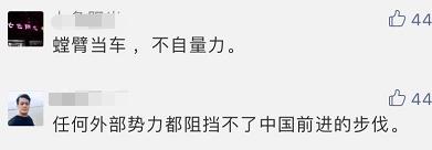 耿爽这句谚语火了,网友求英文!标准答案来了