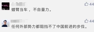 耿爽这句谚语火了，网友求英文！标准答案来了