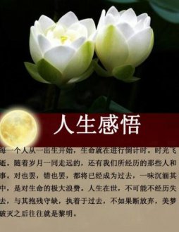 无处不在的妥协！