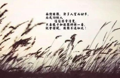 尘缘已去，梦已醒！