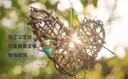这些时光不可违