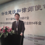 聂树斌案再审
