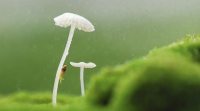 左耳的优美经典句子摘抄