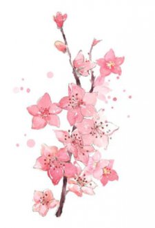 克服困难与磨炼意志的名人警句【8】