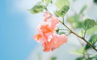 饥汉眼中只有果，饱人眼中尽是花