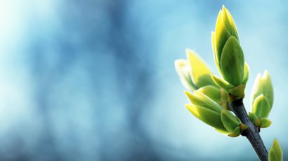 爱情经典语句，别轻易感动