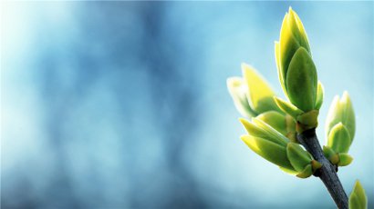 花开花谢小年祝福语